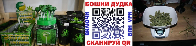 Купить  Бежецк  Canna-Cookies конопля 