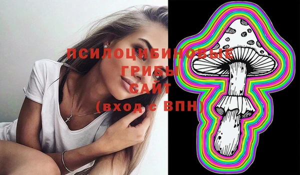 мет Аркадак