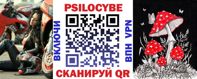 Купить где  Бежецк  Псилоцибиновые грибы прущие грибы 